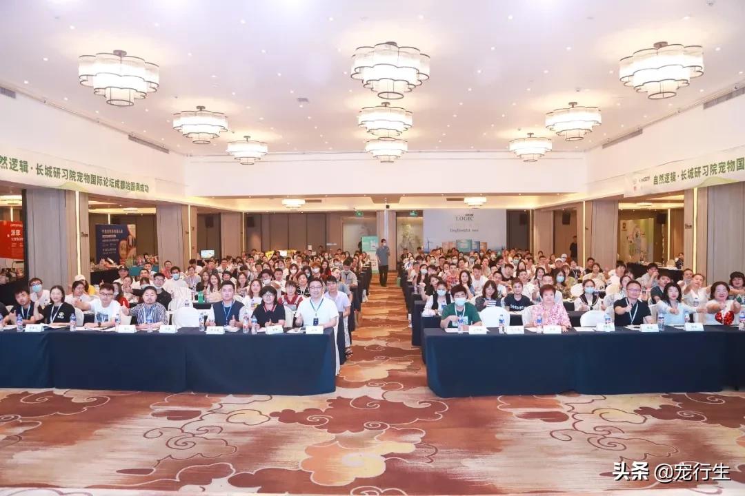 宠行生携手长城研习院开展线下课堂