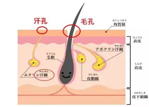 毛孔粗大如何改善用什么护肤品,毛孔粗大如何改善男生最快的办法