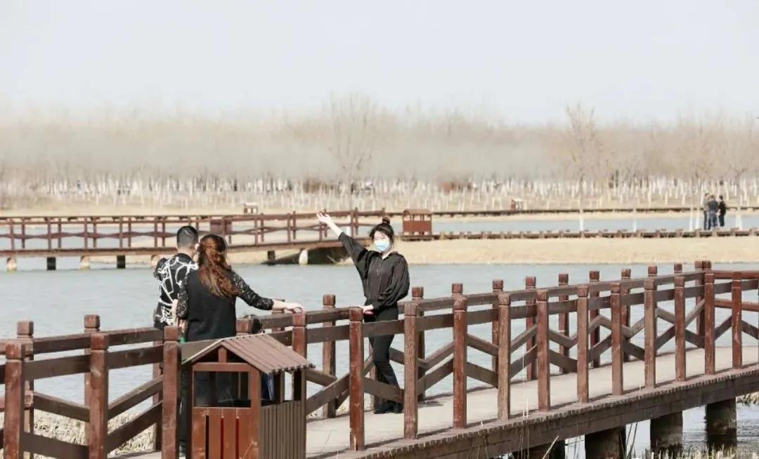 天津春暖花开西沽公园,天津开放的湿地生态公园