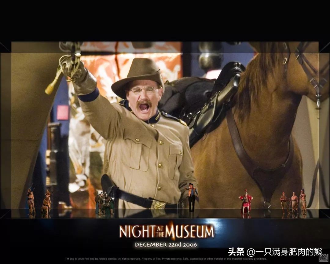 肥熊动画片,肥熊电影