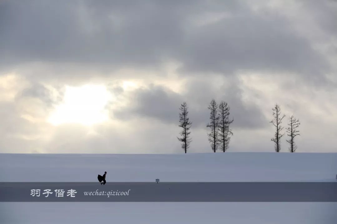 不会日语日本自由行好吗,不会日语的北海道自由行攻略