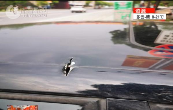 高速上不明物体被过往车辆碾碎,高速路上惊现不明物体