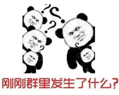 炒股大师、股民……群里40人，只有一个是真心想炒股的老实人！