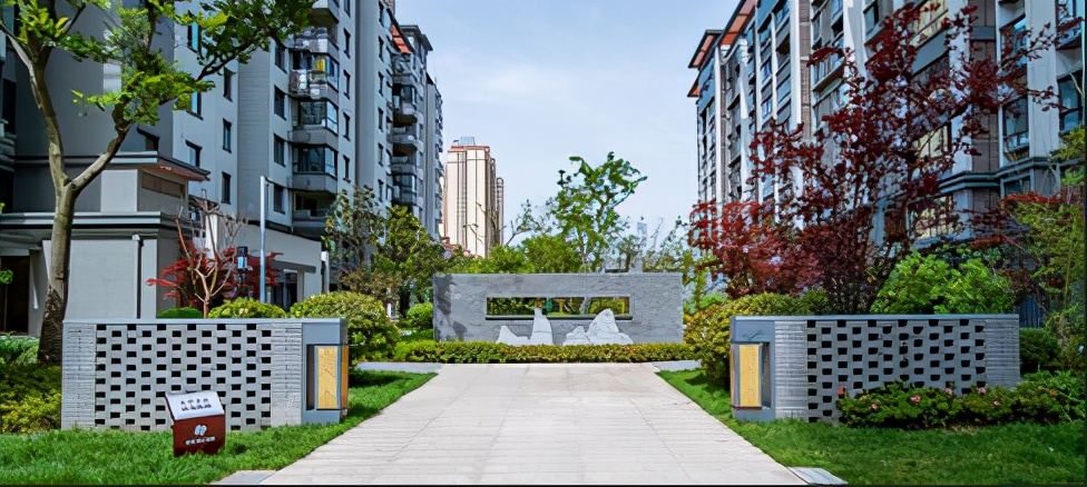 好车位要靠抢吗,好车位都被选完了