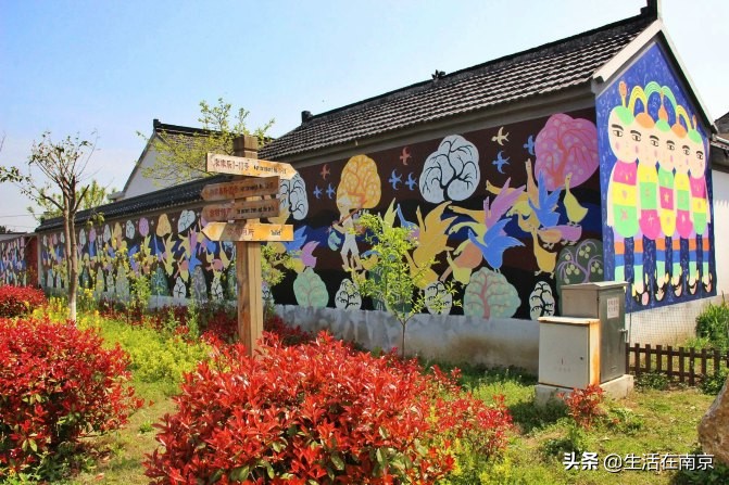 2019年南京美丽乡村游,南京周边美丽乡村游推荐