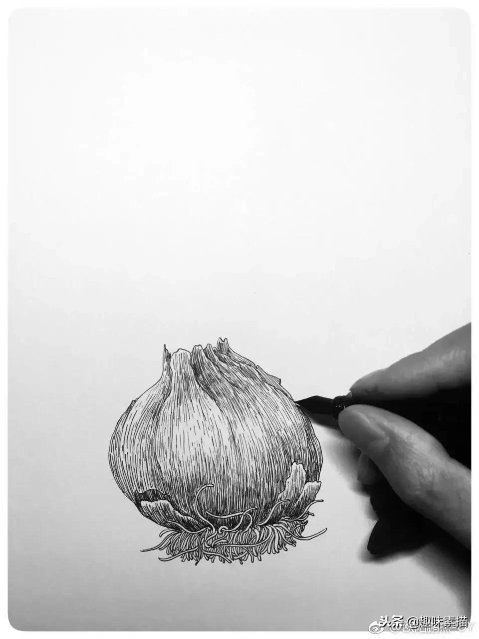 针管笔教程超适合初学者的笔,零基础针管笔教学