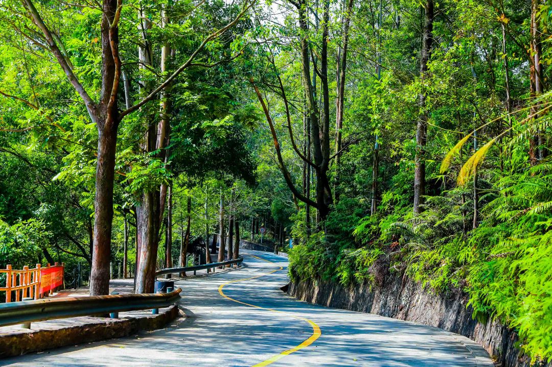 压箱底攻略,观音山最佳打卡点