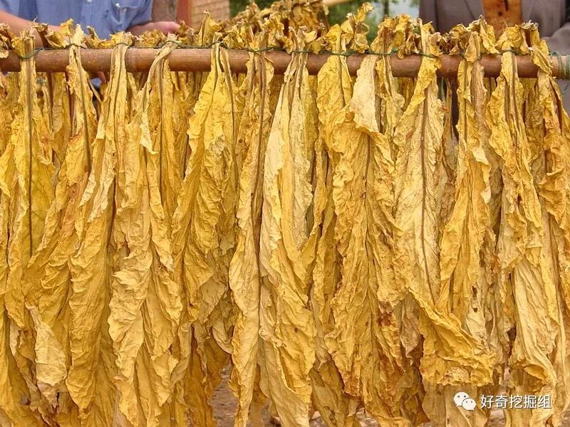 中国烟草价格是多少,最大草烟