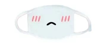 口罩诈骗2000元被抓,利用口罩诈骗获刑13年