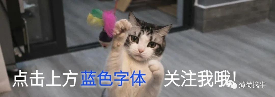 如何提高短线买点的成功率,怎么提高短线买卖成功率