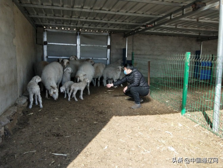 #温暖通辽每“疫”刻#「战疫英雄赞」第一书记抗“疫”记