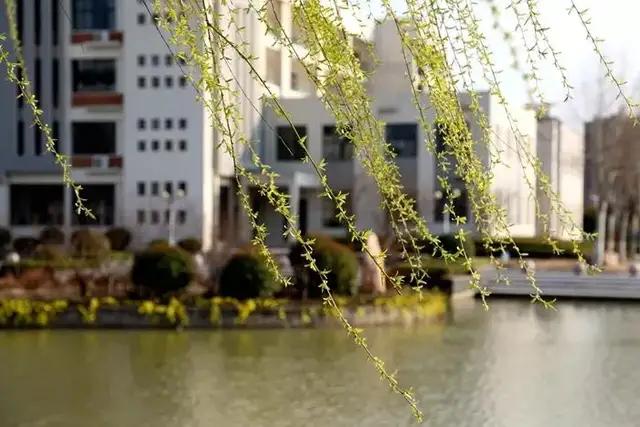 安徽二本大学排名亳州学院,亳州的本科学校