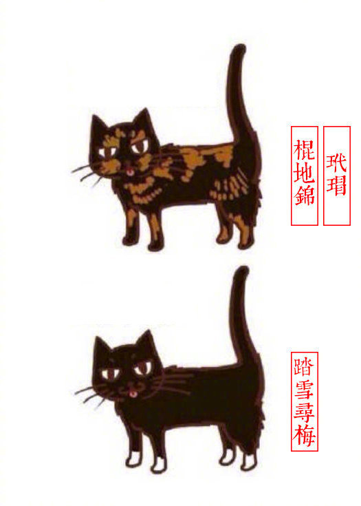 黄狸花猫咪名字,猫咪老师的花名有哪些