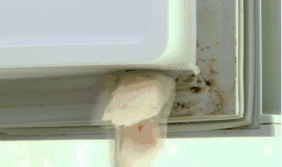 家里所有的冰箱问题，这里会一一为你解除，还不花一分钱哦