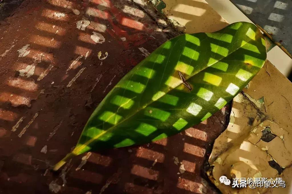 义乌稠城三小与福田小学,义乌市稠城第三小学老校区