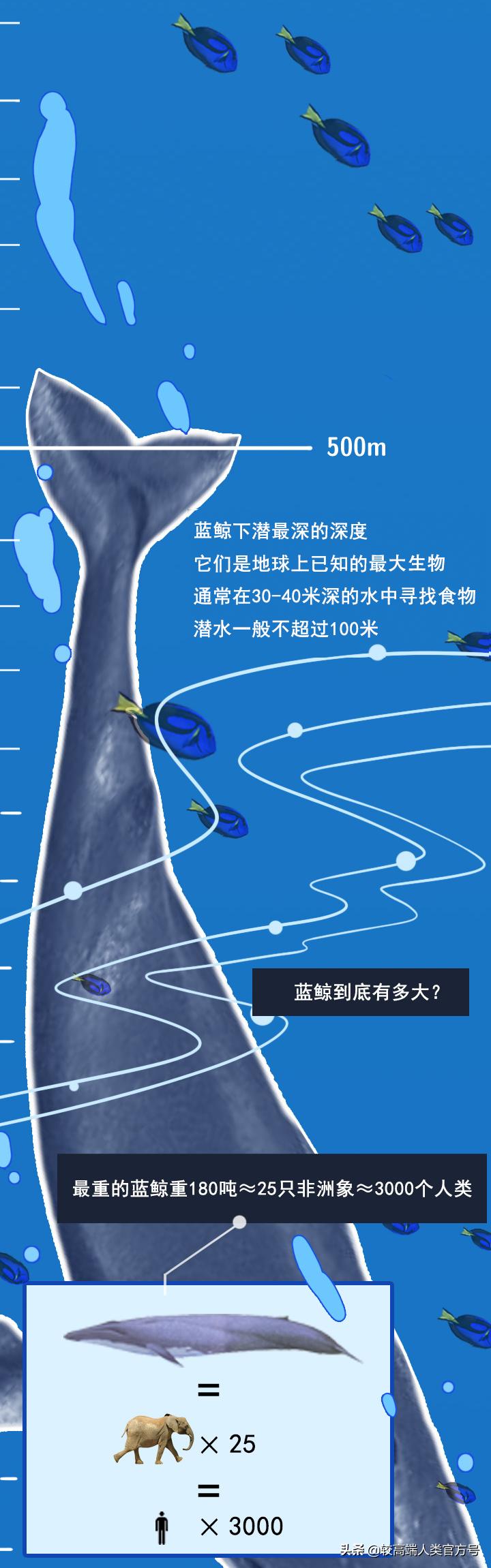 手机掉进水里十几秒有问题吗,手机掉入1000米