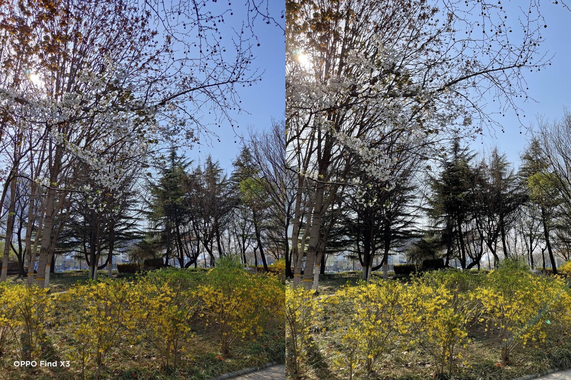 oppofindx3pro能和iphone比吗,oppofindx3真实体验