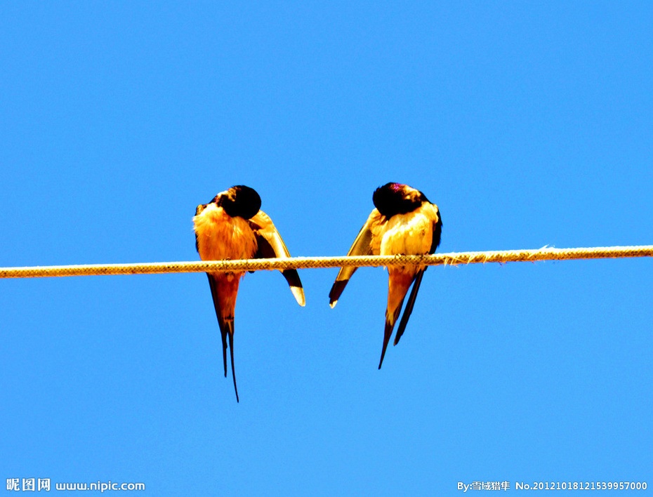 七绝冬日即景二首 (七绝雨后初霁)