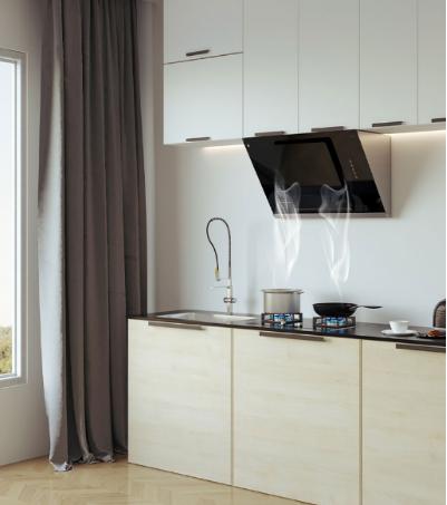 樱花卫厨的油烟机,樱花卫厨抽油烟机套装