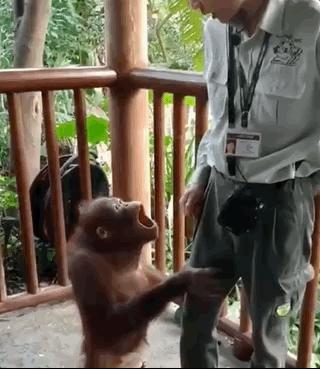 甭管啥就盘它,甭管什么东西盘它原版