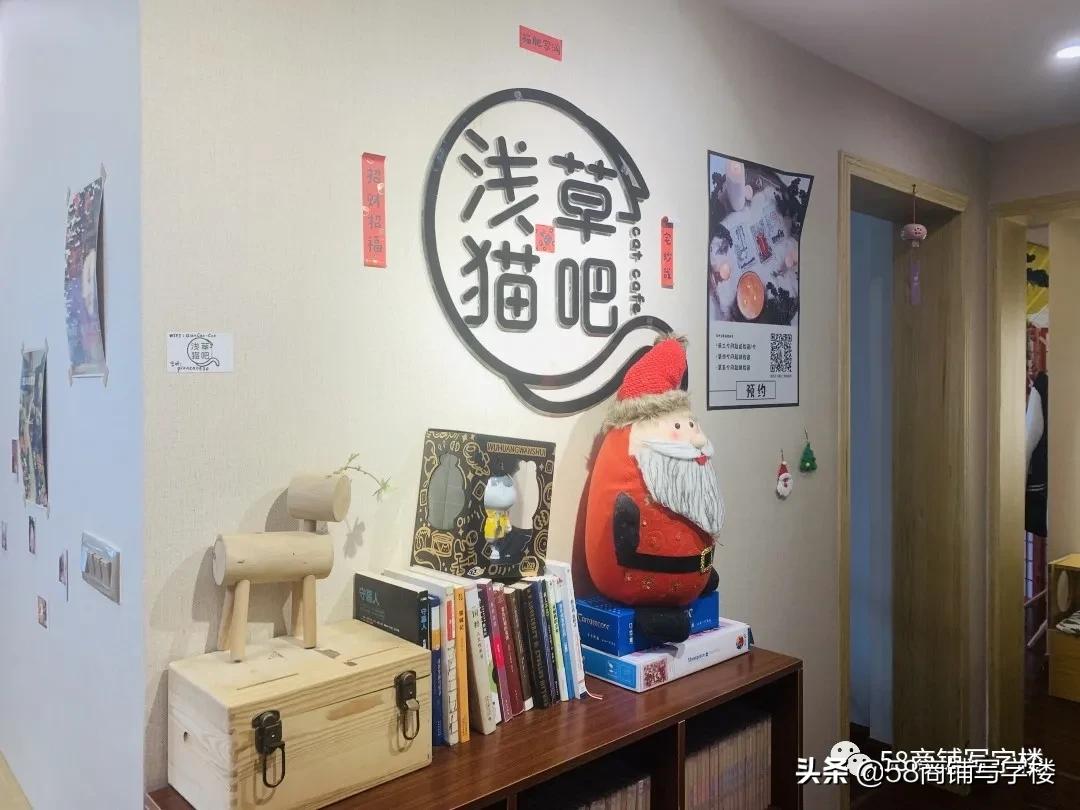 盲盒式商业！撸猫洗jio泡吧…重*红庆**鼎国际撑起一片空中生意？