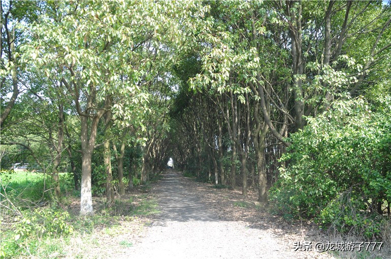 重游天一度假村,重游旧地去哪玩