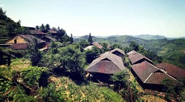 凤山县平乐乡瑶歌（八）——那仁贵