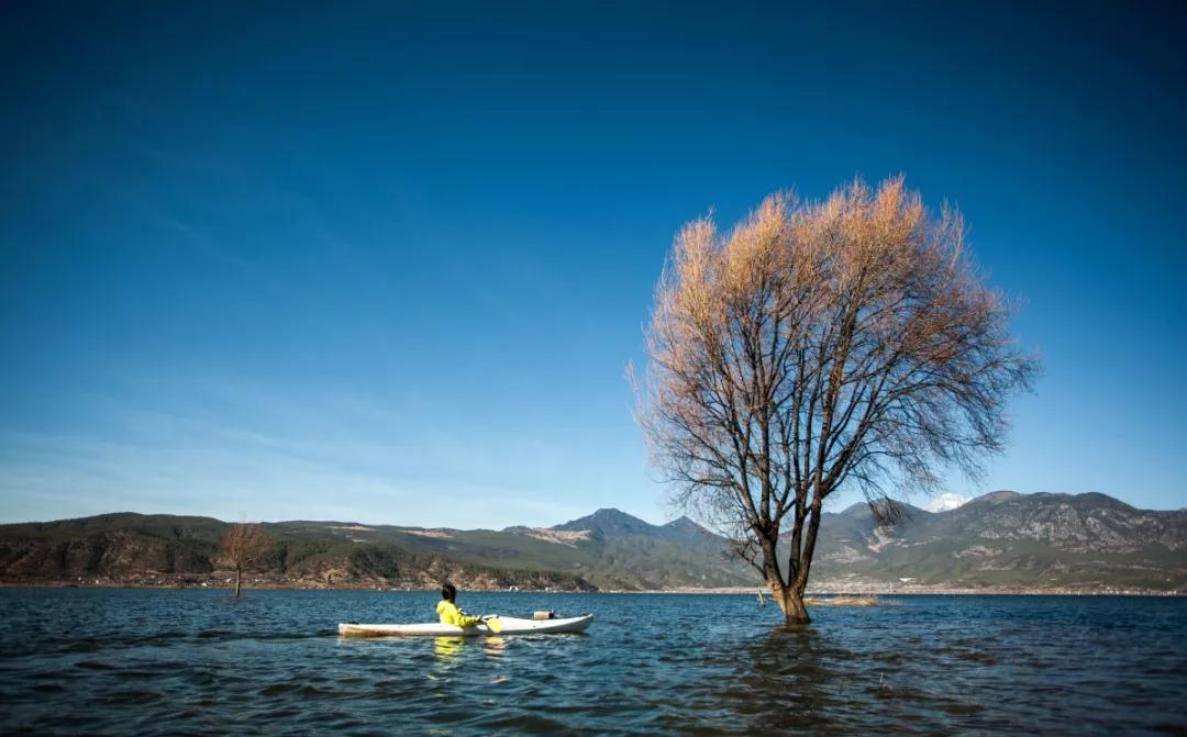 去丽江住哪个客栈好,丽江住两晚推荐