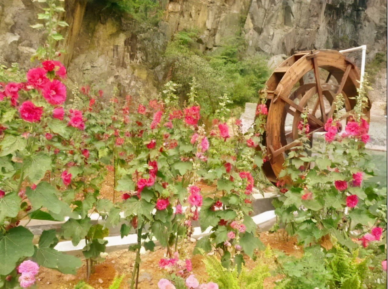 温州好玩的地方推荐吹台山公园,温州吹台山森林民宿门票