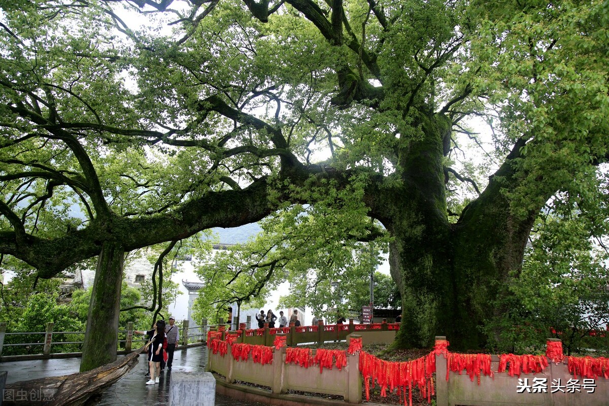 富春江一线江景,杭州钱塘江富春江