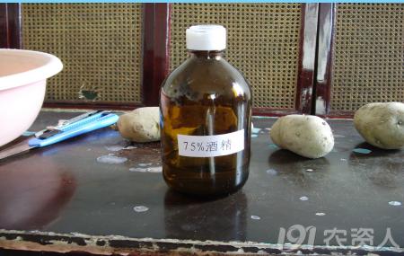 马铃薯免耕栽培技术视频,马铃薯高产栽培技术的参考文献