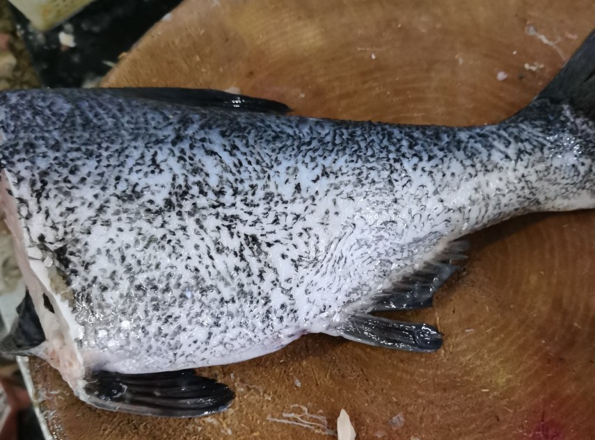 八块钱买的鱼尾，经过厨师处理结果比鱼头还要好吃。