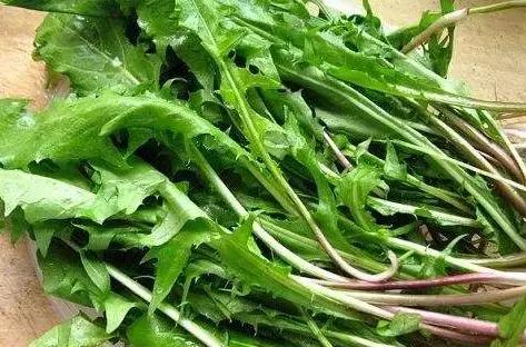 冷空气又来从北到南剧烈降温,冷空气来袭最低-16℃阵风达10级