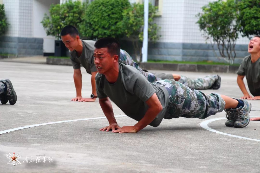 新军体体能训练法,体能套路组合训练