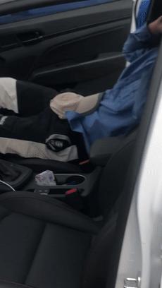 食人蚁袭击人类,一口气看完食人蚁袭击人类