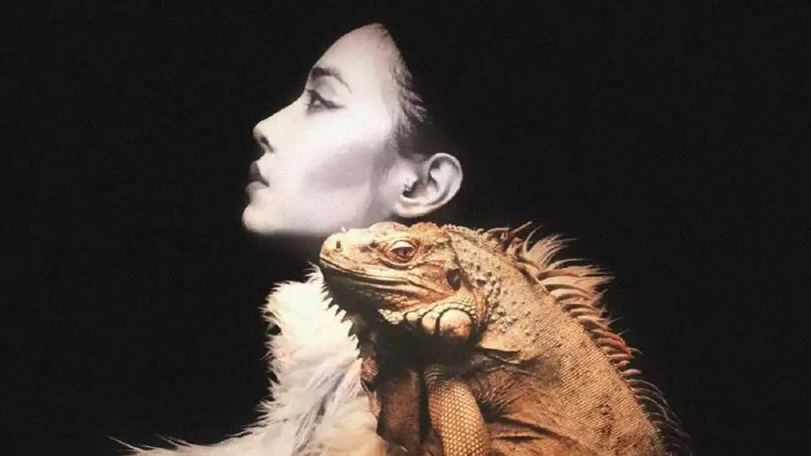 华语乐坛蔡依林王心凌张韶涵同台,蔡依林王心凌张韶涵杨丞琳