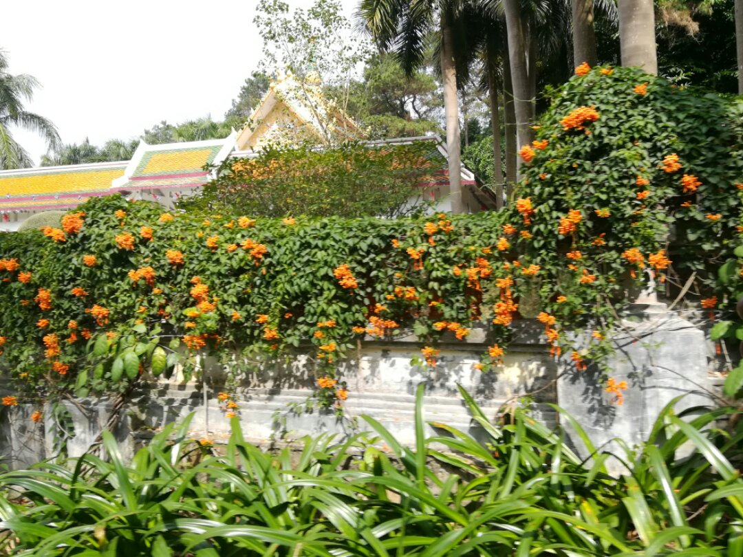 青秀山奇幻之旅,南宁2022奇妙之旅