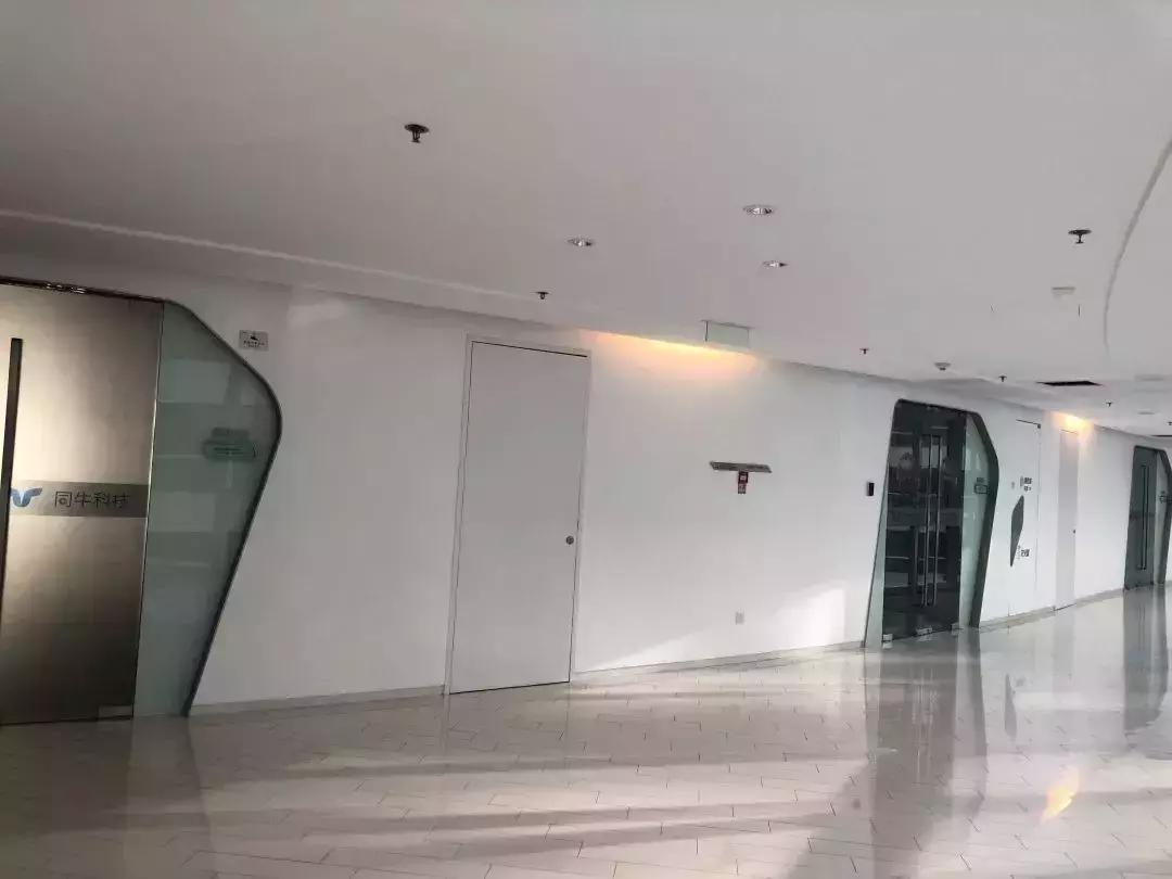 豪门牛津学霸率团队做套路贷：9个月获利2亿元，已出逃境外