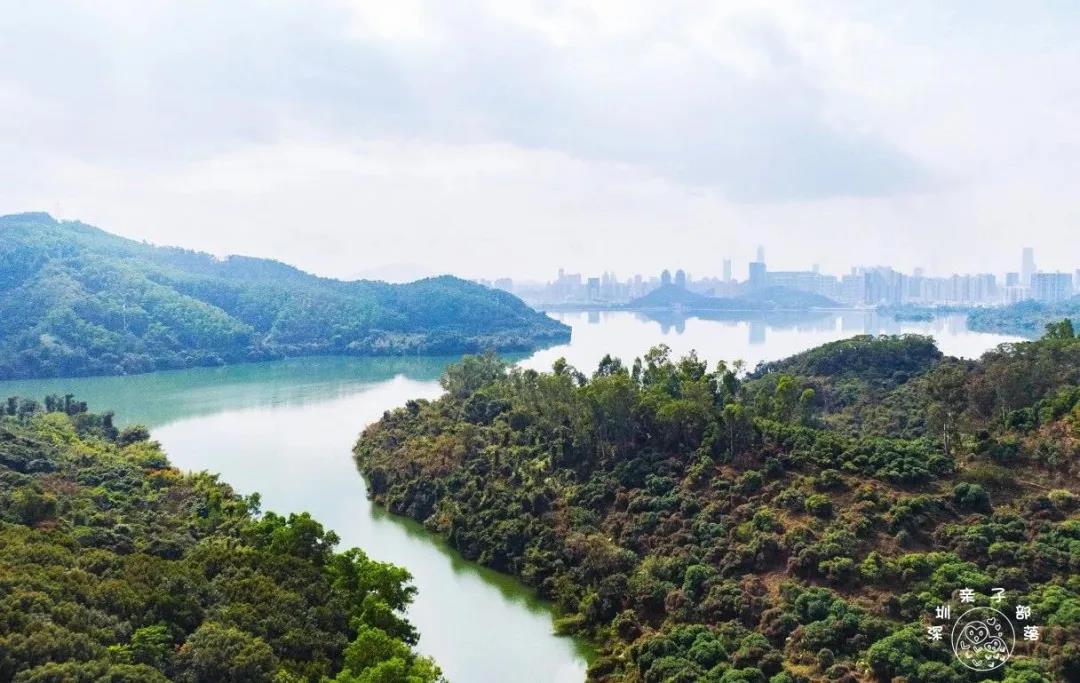 深圳遛娃50个必去的主题公园,深圳遛娃必去景点免费全部列表