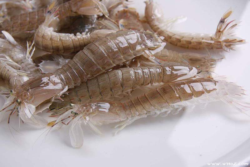 蒜香皮皮虾椒盐做法最简单,椒盐皮皮虾的做法步骤