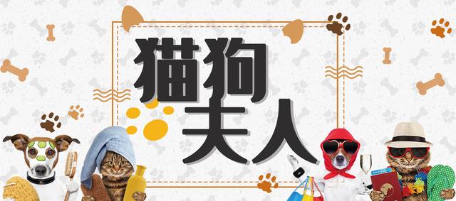 犬脑炎是什么原因引起,狗骨髓炎怎么治疗