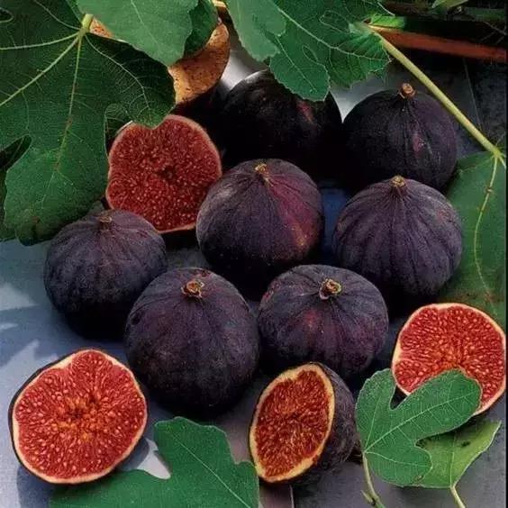 *疆新**瓜果地图？开吃