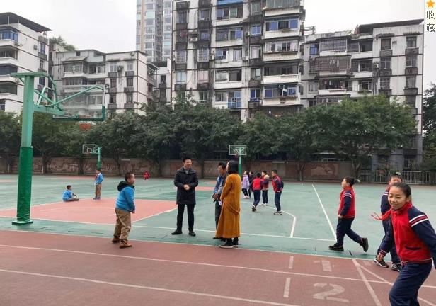 重庆南岸区2020小学划分,重庆南岸区小学排名一览表