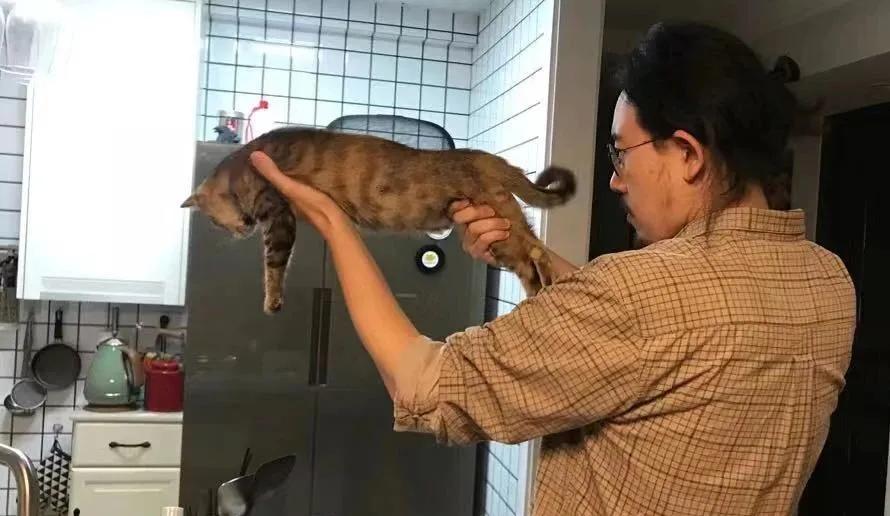 猫和唱片的共通之处？“都很破财！”|专访画家健一