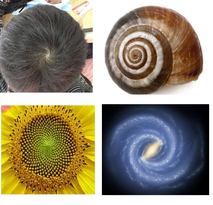 八角垂芒之书者法象