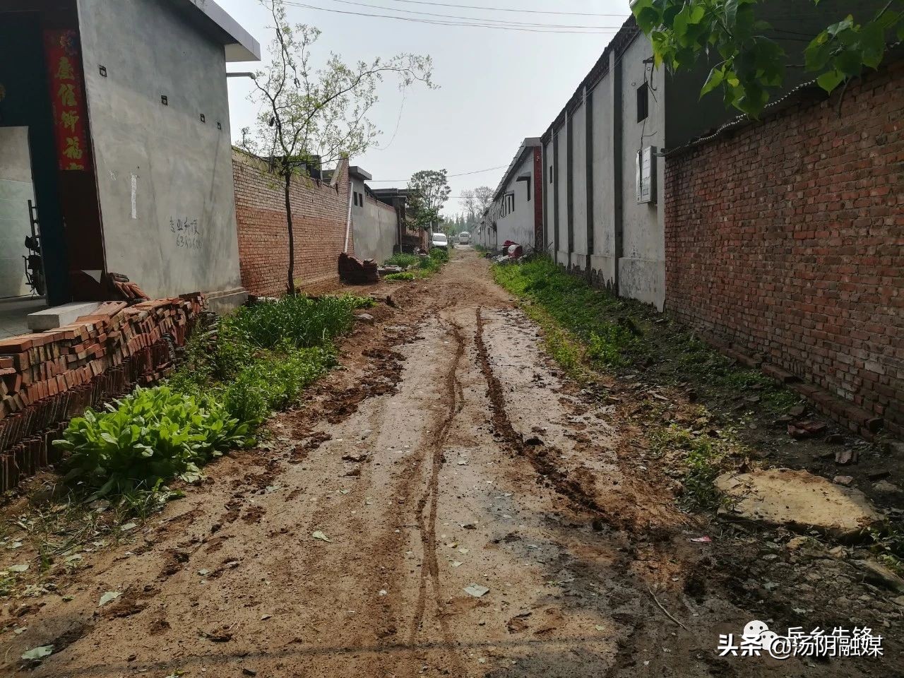 精准扶贫采访驻村第一书记,我省脱贫攻坚驻村第一书记风采