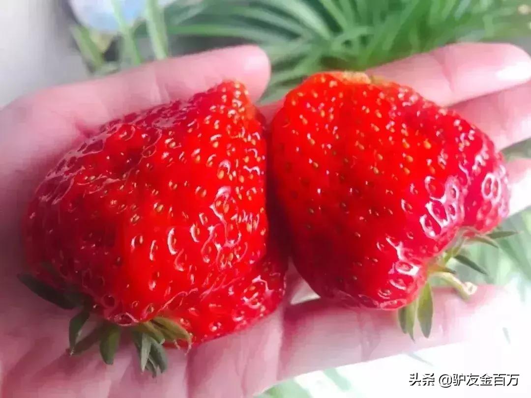 辽宁清明假期自驾游,辽宁适合1-2天短途旅游清明