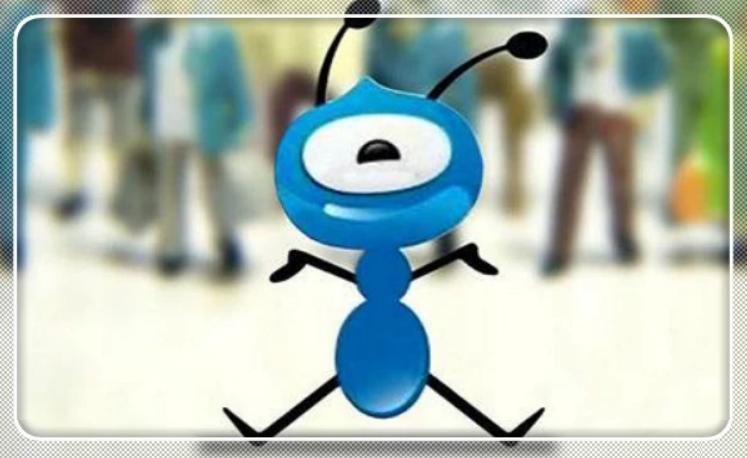 支付宝没有借呗只有花呗怎么回事,支付宝借呗花呗借款利率多少