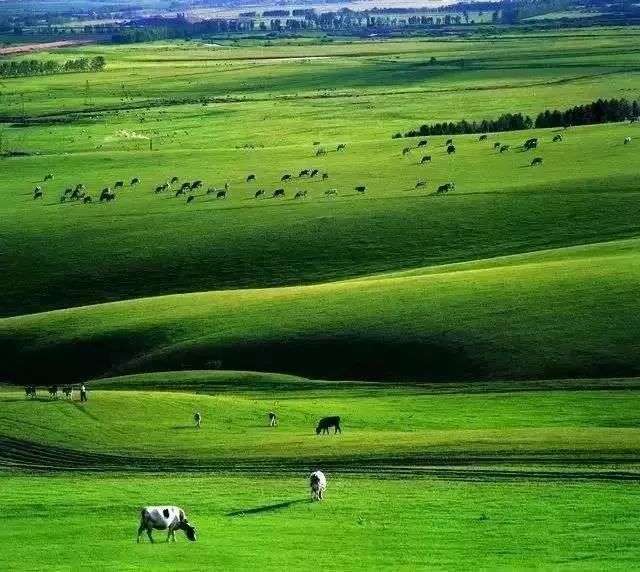 呼伦贝尔山区自然风景,呼伦贝尔沿途风景