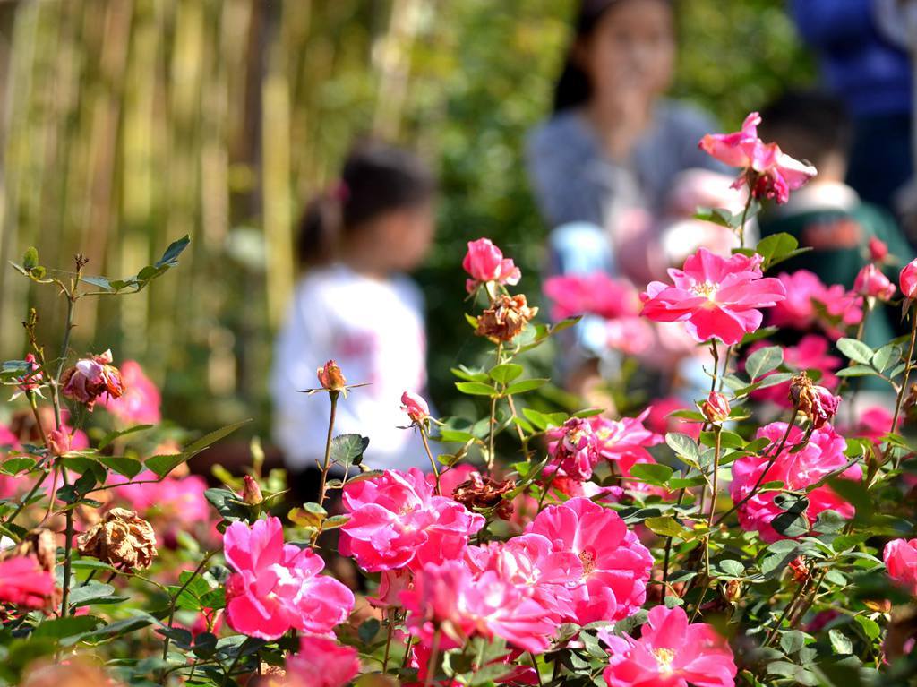 济源滨湖花园燃气,济源思礼镇滨河花园